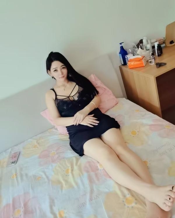 会服务的大个丽桐